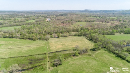 Rare Ouachita Riverfront Property – 44 Acres of Prime Land - image 11