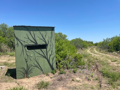 Prime Hunting Property for Sale in Falfurrias, TX - image 24