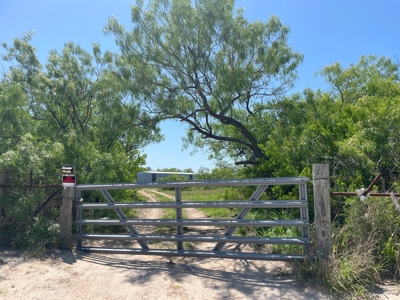 Prime Hunting Property for Sale in Falfurrias, TX - image 7