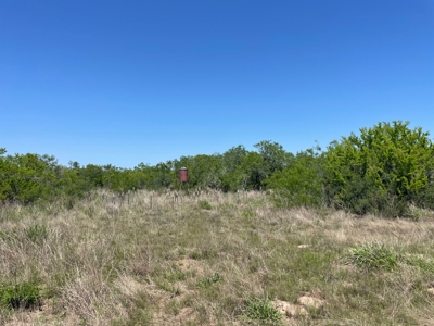 Prime Hunting Property for Sale in Falfurrias, TX - image 33