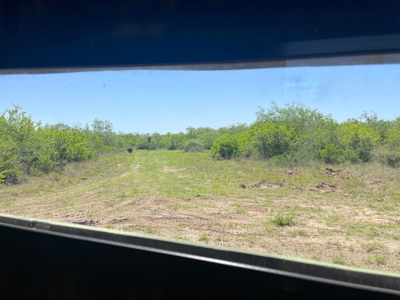 Prime Hunting Property for Sale in Falfurrias, TX - image 23
