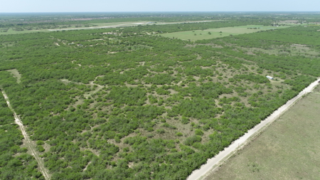 Prime Hunting Property for Sale in Falfurrias, TX - image 37