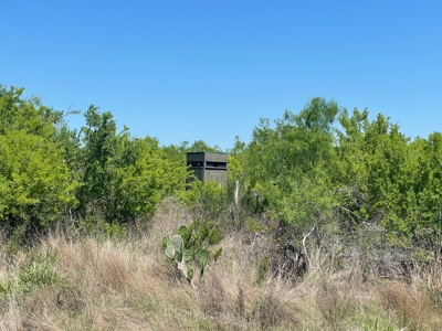 Prime Hunting Property for Sale in Falfurrias, TX - image 26