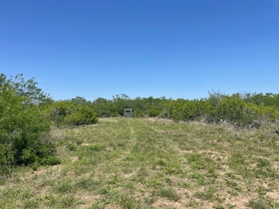 Prime Hunting Property for Sale in Falfurrias, TX - image 21