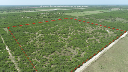 Prime Hunting Property for Sale in Falfurrias, TX - image 2