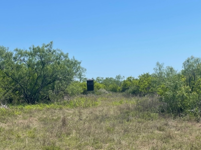 Prime Hunting Property for Sale in Falfurrias, TX - image 28