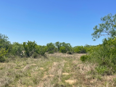 Prime Hunting Property for Sale in Falfurrias, TX - image 16