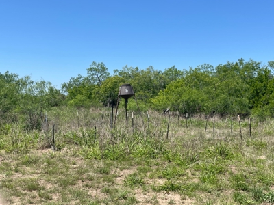 Prime Hunting Property for Sale in Falfurrias, TX - image 29