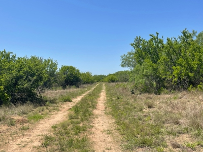 Prime Hunting Property for Sale in Falfurrias, TX - image 17