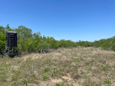 Prime Hunting Property for Sale in Falfurrias, TX - image 31