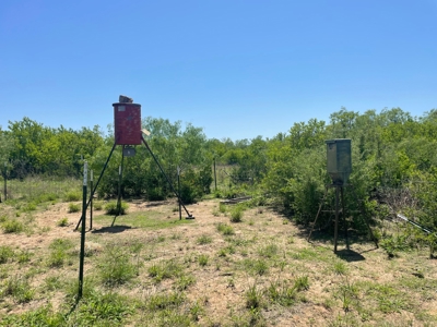 Prime Hunting Property for Sale in Falfurrias, TX - image 20