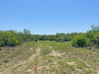 Prime Hunting Property for Sale in Falfurrias, TX - image 18