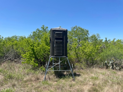 Prime Hunting Property for Sale in Falfurrias, TX - image 32