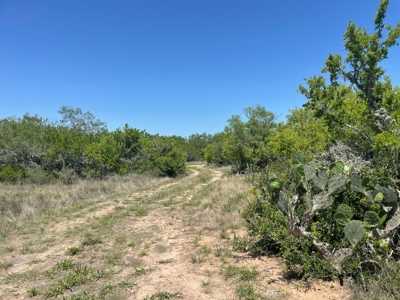 Prime Hunting Property for Sale in Falfurrias, TX - image 25