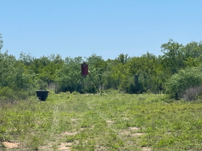 Prime Hunting Property for Sale in Falfurrias, TX - image 19