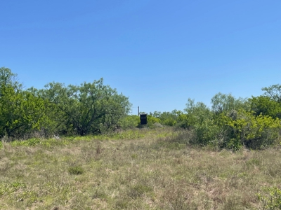 Prime Hunting Property for Sale in Falfurrias, TX - image 27