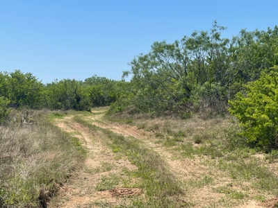 Prime Hunting Property for Sale in Falfurrias, TX - image 30