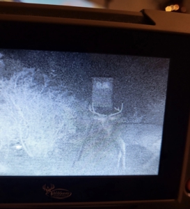 Prime Hunting Property for Sale in Falfurrias, TX - image 38