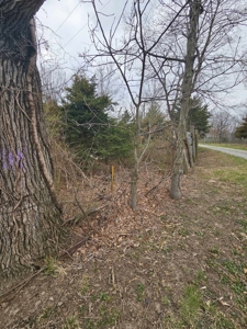 Home and acreage for sale in Putnam County, MO - image 34