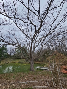 Home and acreage for sale in Putnam County, MO - image 12