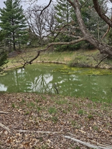 Home and acreage for sale in Putnam County, MO - image 32
