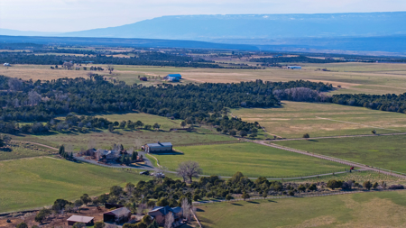 Colorado luxury mountain home with acreage for sale - image 12