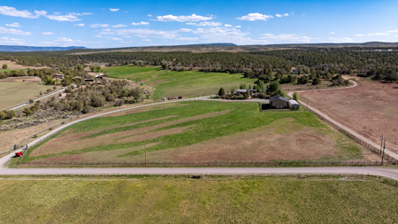 Colorado luxury mountain home with acreage for sale - image 25