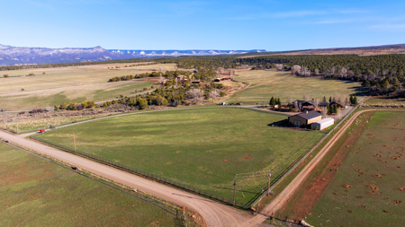 Colorado luxury mountain home with acreage for sale - image 11