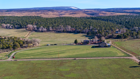 Colorado luxury mountain home with acreage for sale - image 20