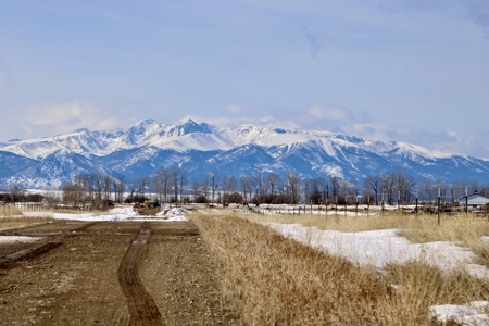 Peaceful Country Living with Breathtaking Mountain Views - image 10