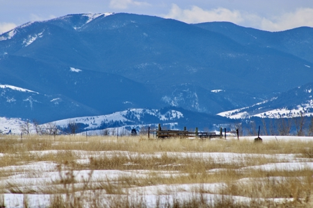 Peaceful Country Living with Breathtaking Mountain Views - image 11