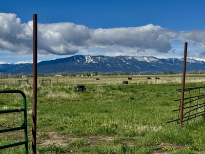 Peaceful Country Living with Breathtaking Mountain Views - image 42
