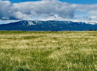 Peaceful Country Living with Breathtaking Mountain Views - image 41