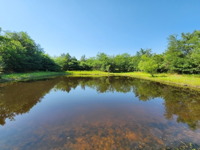 10 Acre Off-Grid Homestead Property - image 8