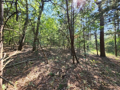 10 Acre Off-Grid Homestead Property - image 11