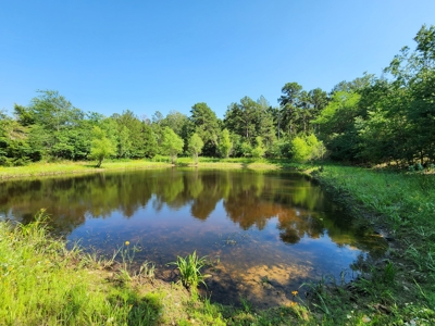 10 Acre Off-Grid Homestead Property - image 6
