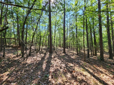10 Acre Off-Grid Homestead Property - image 13