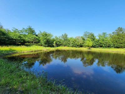 10 Acre Off-Grid Homestead Property - image 5