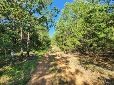 10 Acre Off-Grid Homestead Property - image 3