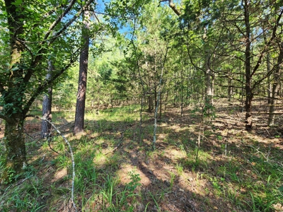 10 Acre Off-Grid Homestead Property - image 10