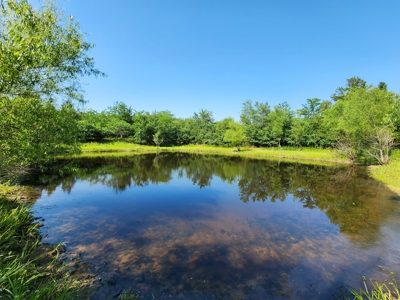 10 Acre Off-Grid Homestead Property - image 1