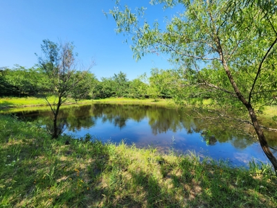 10 Acre Off-Grid Homestead Property - image 7