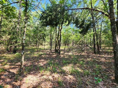 10 Acre Off-Grid Homestead Property - image 12