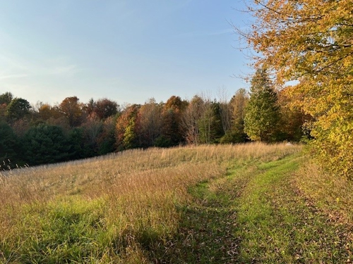 Acreage For Sale