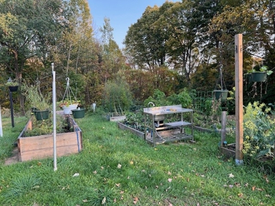 Large Acreage With Home For Sale in Dolgeville, New York - image 16