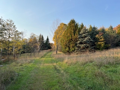 Large Acreage With Home For Sale in Dolgeville, New York - image 10