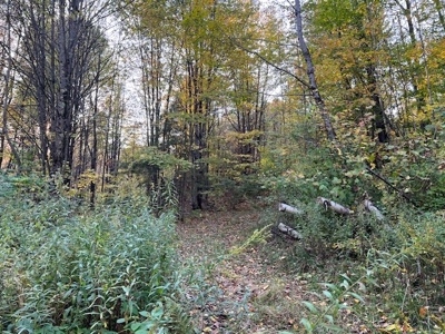 Large Acreage With Home For Sale in Dolgeville, New York - image 11