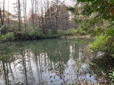 Large Acreage With Home For Sale in Dolgeville, New York - image 8
