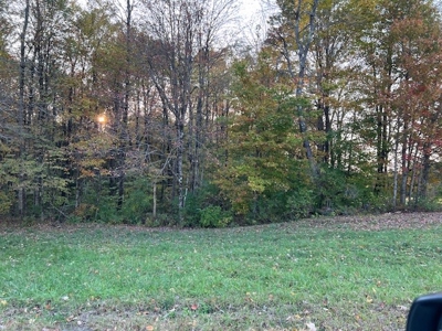Large Acreage With Home For Sale in Dolgeville, New York - image 2