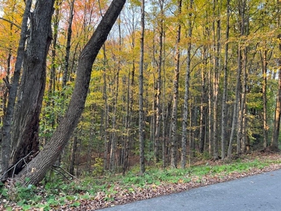 Large Acreage With Home For Sale in Dolgeville, New York - image 17